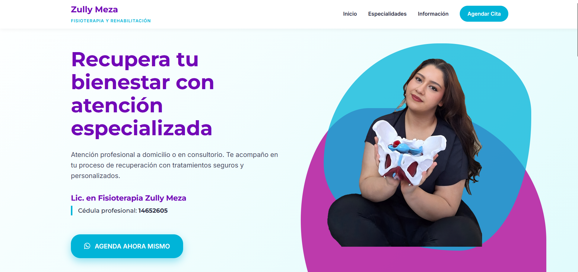 Proyecto 3